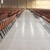 LeConte Center